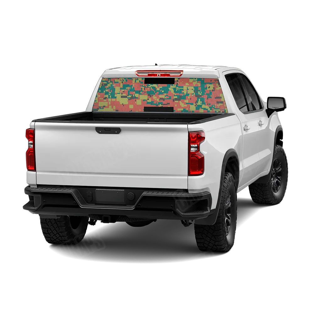 Digital Fiesta Rear Window Graphics