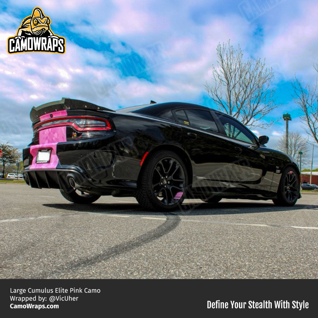 pink camo charger stripe