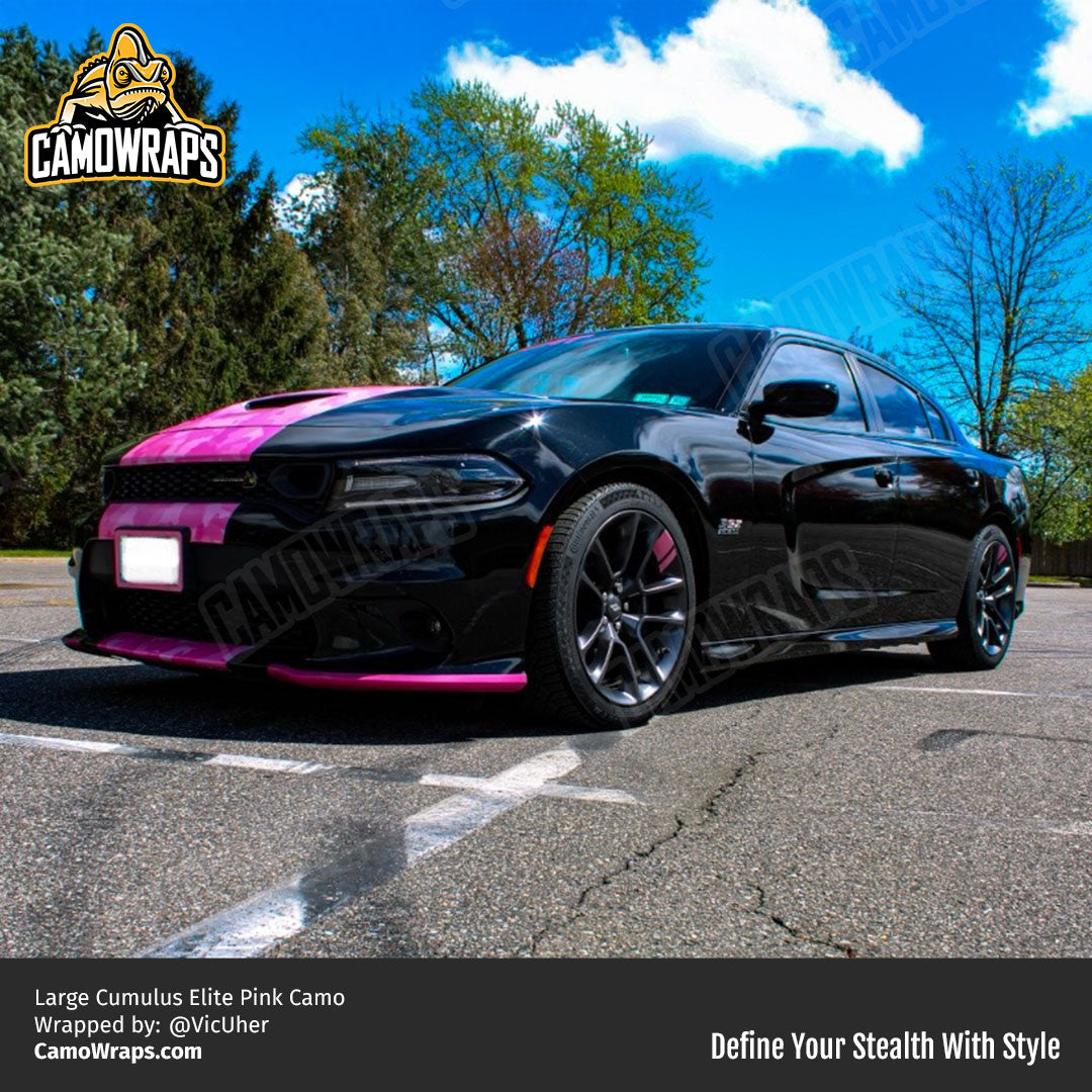 pink camo charger stripe