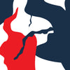 AR-15 Ragged America Camo Gun Skin Vinyl Wrap