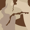 AR-15 Ragged Desert Camo Gun Skin Vinyl Wrap