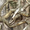 AR-15 Nature Lifeless Woods Buck Skull Camo Gun Skin Vinyl Wrap