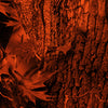 AR-15 Nature Orange Forest Camo Gun Skin Vinyl Wrap