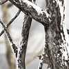 AR-15 Nature Snowstorm Camo Gun Skin Vinyl Wrap