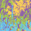 Pasted Carnival Camo Vinyl Wrap
