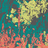 Pasted Fiesta Camo Vinyl Wrap