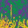 Pasted Mardi Gras Camo Vinyl Wrap