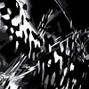AR-15 RELV X3 Medusa Camo Gun Skin Vinyl Wrap
