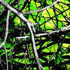 Handgun Sirphis Toxic Camo Gun Skin Vinyl Wrap