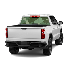 Cumulus Pistachio Rear Window Graphics