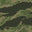 Vietnam Tiger Stripe Army Green