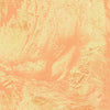 Realtree Aspect Orange Sorbet Camo Vinyl Wrap