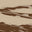 Shredded Desert