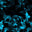 Skull Cyan