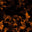 Skull Orange