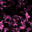Skull Pink
