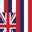 US States Hawaii Flag