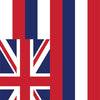 US States Hawaii Flag Cornhole Vinyl Wrap