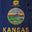 US States Kansas Distressed Flag