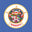 US States Minnesota Flag