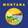 US States Montana Flag