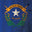 US States Nevada Distressed Flag